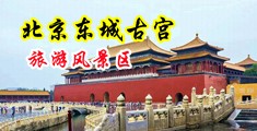 久久久美女几把操中国北京-东城古宫旅游风景区